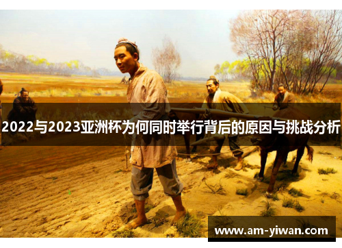 2022与2023亚洲杯为何同时举行背后的原因与挑战分析 2022与2023亚洲杯为何同时举行背后的原因与挑战分析