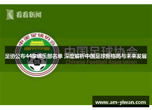 足协公布44家俱乐部名单 深度解析中国足球新格局与未来发展