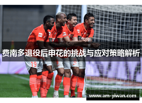 费南多退役后申花的挑战与应对策略解析