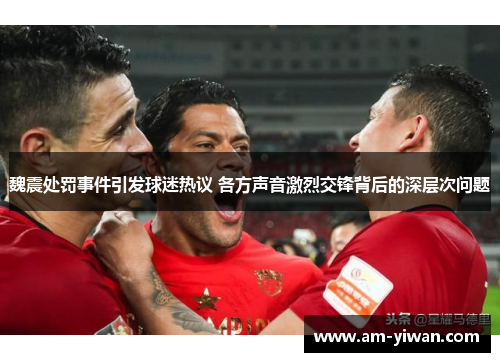 魏震处罚事件引发球迷热议 各方声音激烈交锋背后的深层次问题
