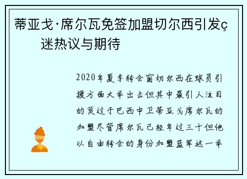 蒂亚戈·席尔瓦免签加盟切尔西引发球迷热议与期待
